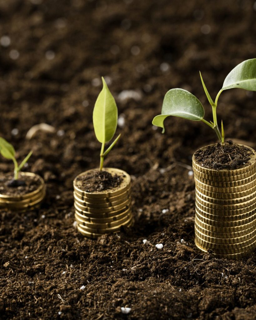 high-angle-coins-stacked-dirt-with-plants